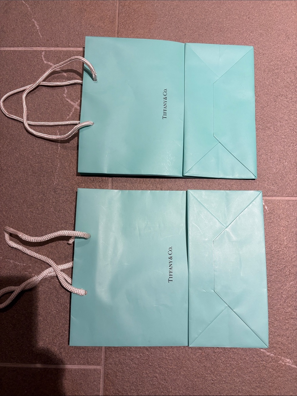 Tiffany & Co. Signature Blue Paper Tote Bags with Rope Handles - Set of 2